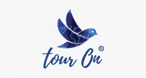 Tour On logo with a blue flying bird design featuring a world map pattern.